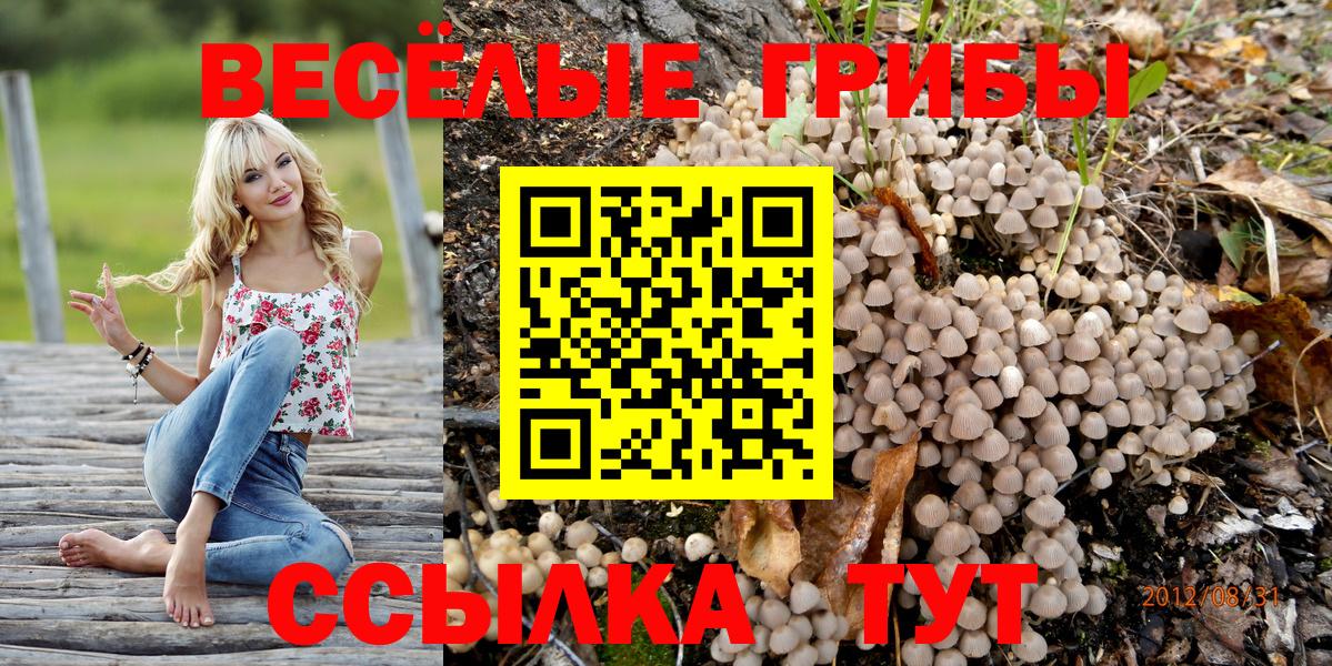 Псилоцибиновые грибы мухоморы Светлоград