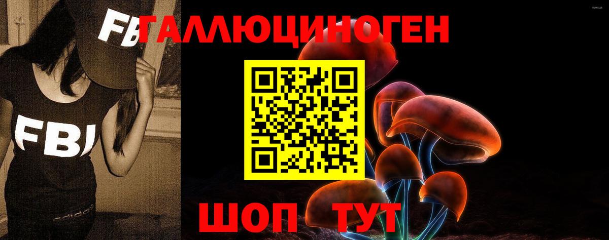 купить   Вход с VPN  Светлоград  Галлюциногенные грибы Psilocybine cubensis  Псилоцибиновые грибы Magic Shrooms 